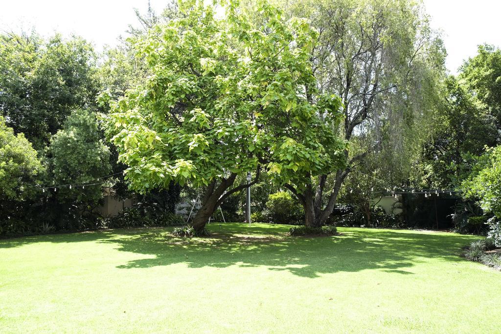 Waterkloof Guest House Преторія Екстер'єр фото